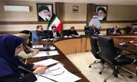 کارگروه سلامت و امنیت غذایی شبکه بهداشت و درمان شهرستان رودبار در فرمانداری